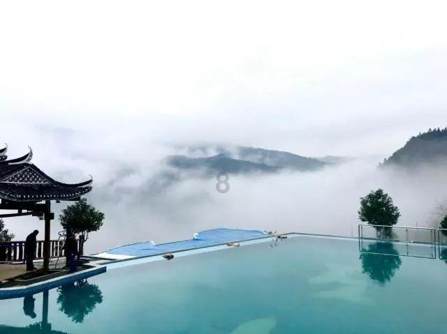 蜜蜂救援